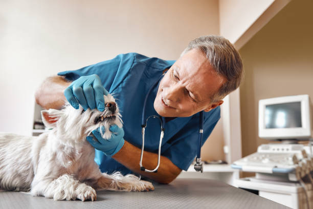 Best Walk-In Emergency Dentist in Rancho Mission Viejo, CA